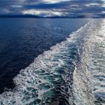 星投老虎机:揭秘游戏背后的策略与技巧 wo9jeyw54y