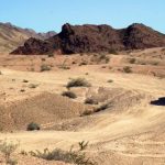 鸿运赌场平台注册的步骤与注意事项详解 xhror